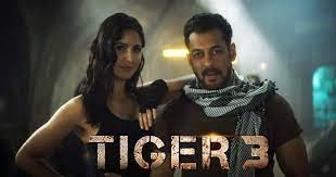 Tiger 3 के लिए और लंबा हुआ इंतजार, Salman Khan ने कर दी ये बड़ी अनाउंसमेंट