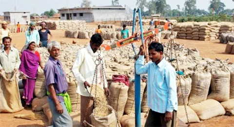 छत्तीसगढ़ में आज से 2496 केंद्रों में होगी धान खरीदी, CM बघेल अधिकारियों से बोले- किसानों को उपार्जन केंद्रों में नहीं होनी चाहिए दिक्कत