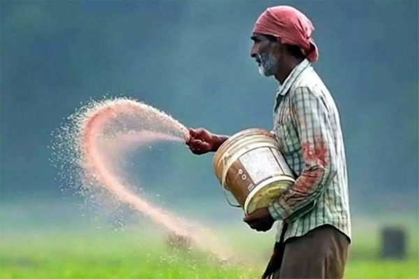 छत्तीसगढ़ के किसानों को अब तक 8.61 लाख मीट्रिक टन खाद व 7 लाख क्विंटल बीज वितरित